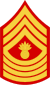 USMC ranks 50px-USMC-E9-MGyS.svg