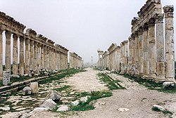 تابع ... سوريا بين الحضارات 250px-Apamea_Cardo_Maximus