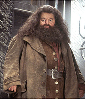 Rubeus Hagrid RubeusHagrid