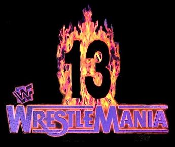 WWE - THE BEST SHOW EVER Logo-wm13