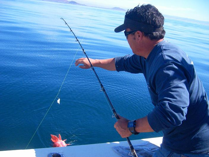 网友实拍：在墨西哥钓鱼的经历　这钓的绝对是寂寞(多图) 2402951876196172043