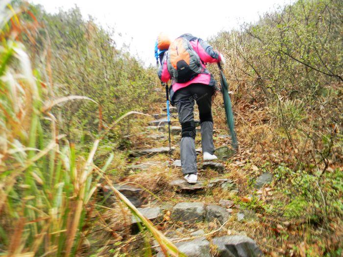 3.13号中雨十四人乱爬樟村乱石坑 一杜山岙，乱石坑大美了  20120312155312046