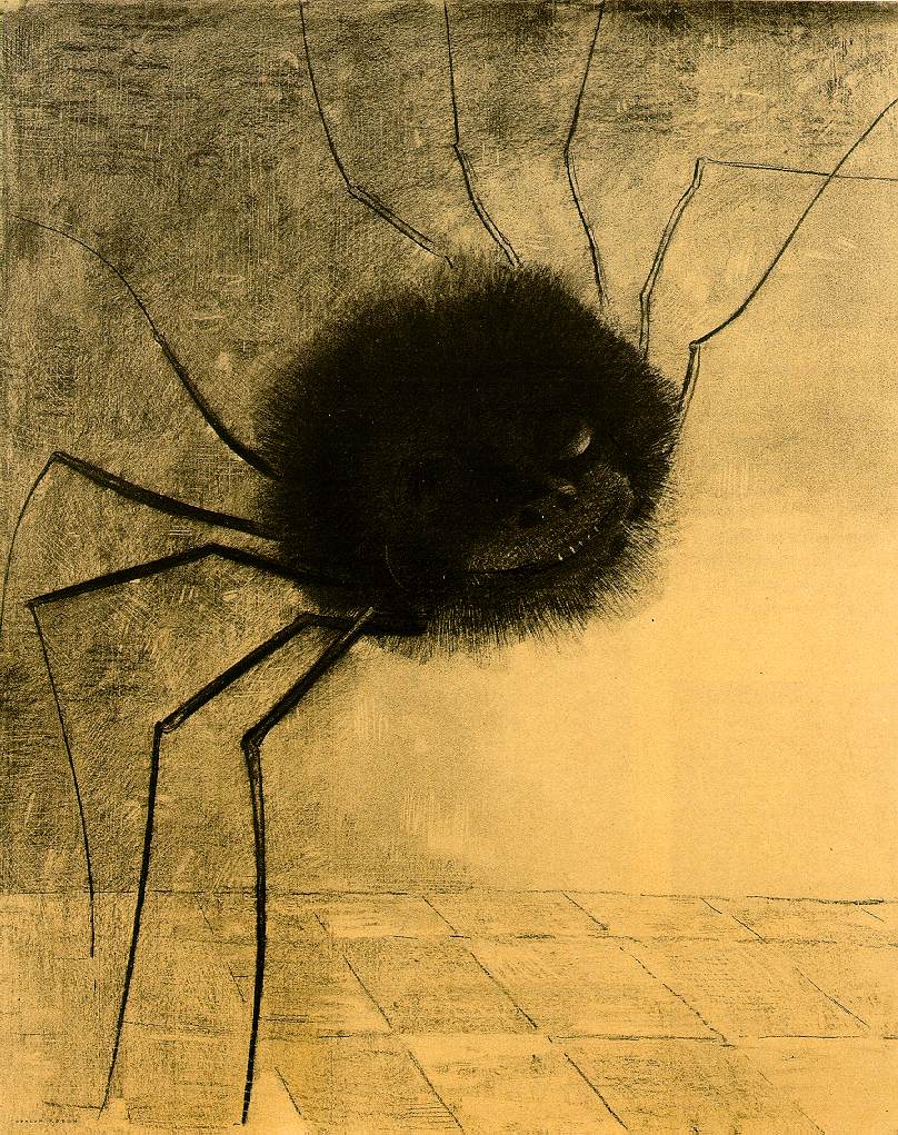 [Jeu] Association d'images The-smiling-spider-1891