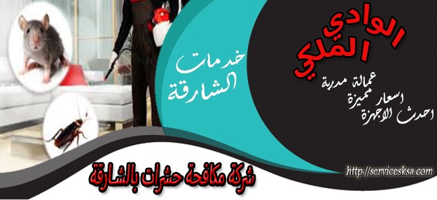 موجات فيروس كورونا عليك إتباع النصائح للوقاية منه 1535264320