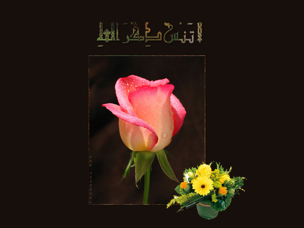 خلفيات إسلامية روعة لسطح المكتب 2010 Kh5