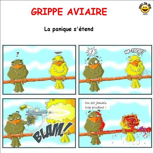 Blague du jour Grippe_aviaire