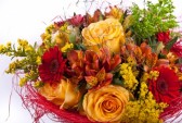 أجمل و أحلى الباقات و الورود 14670387-bouquet-de-roses-d-39-iris-gerbera-sur-un-fond-blanc