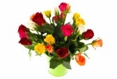 ورود و باقات جديدة عن النت  9234620-roses-bouquet-colore-en-vert-seau-sur-fond-blanc