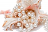 وردة أم لؤلؤة ؟ 10117893-pearls-necklace-from-shell-isolated-on-white