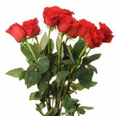أجمل و أحلى الباقات و الورود 12239450-bouquet-de-roses-rouges-il-est-isole-sur-un-fond-blanc