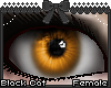 *.:.* BlackCat's Boutique UPDATED New Innocent Skin Set!! (3/18/10) *.:.* - Page 3 Images_688b4ec03f44acac1eab0319d7c014aa