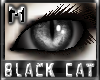 *.:.* BlackCat's Boutique UPDATED New Innocent Skin Set!! (3/18/10) *.:.* - Page 3 Images_c3a8a06a911974b2e7d9a8dd4ab7ea4d