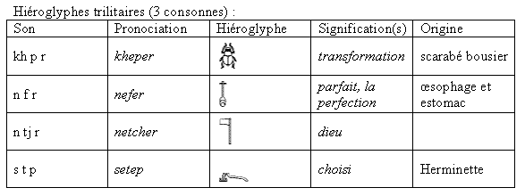 Les hiéroglyphes dans le texte 7