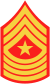 Sergeant Major