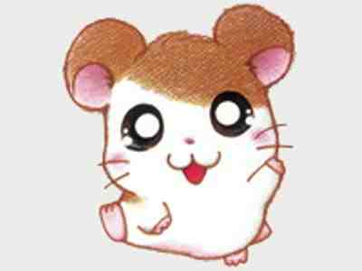 صور انمي همتارو "Hamtaro" Hmtaro%202