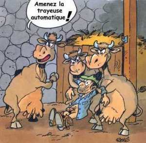 Humour  en Vido Vache1005