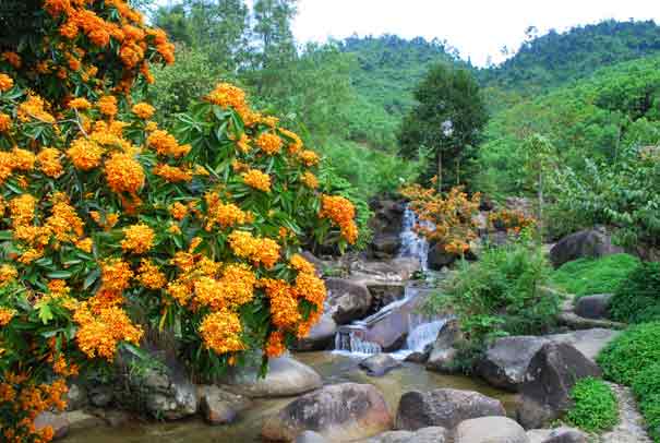 Khu du lịch sinh thái Suối Hoa Đà Nẵng Ve-dep-suoi-hoa-da-nang