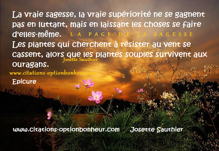 Petites citations diverses A44753f9