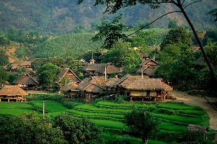 	Mai Châu – Bản Lác xuân này . 2011123_16492_lvg-Hoabinh-Ban%20Lac