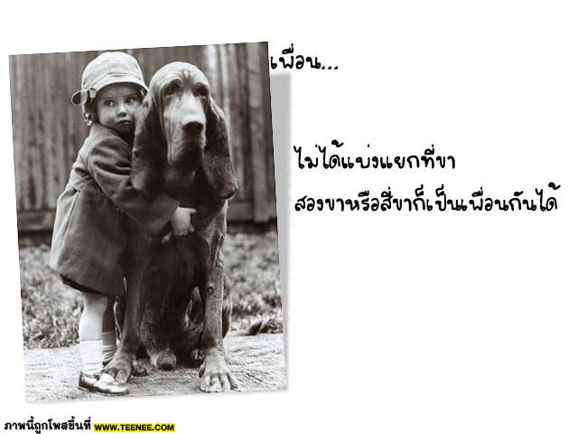 เพื่อนเอย M104809