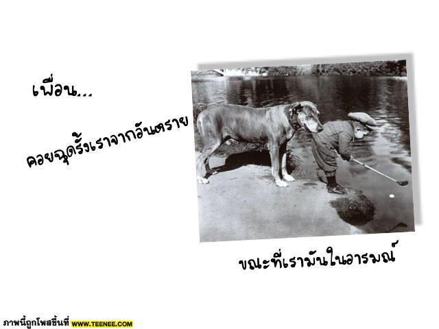 เพื่อนเอย M104810