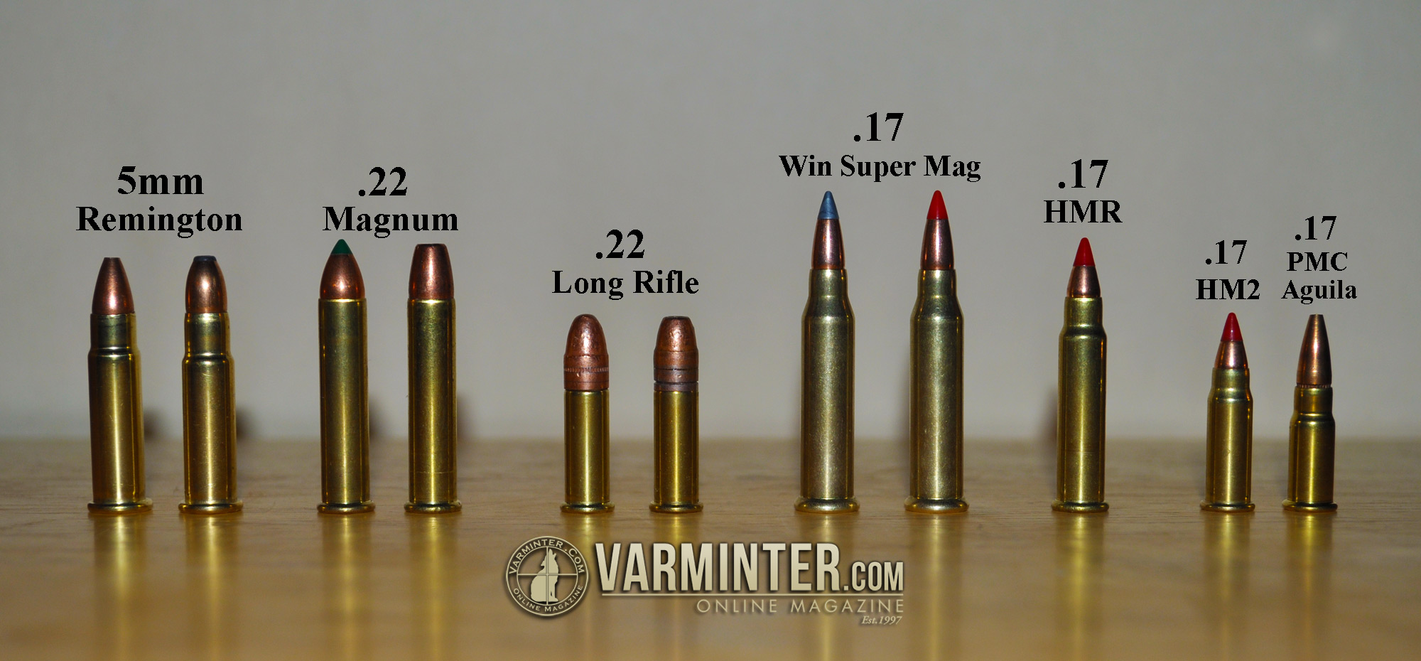 conseil sur achat  - Page 2 Rimfire-comparison-varminter