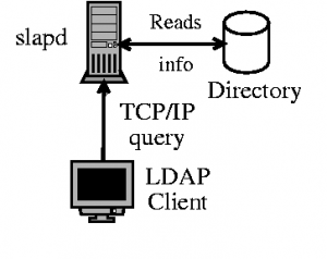 Instalasi Multi-Server Zimbra (3) Ldap-300x238