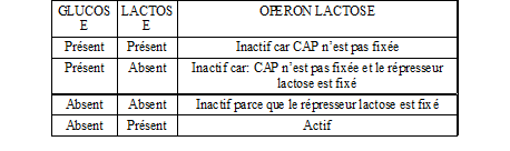 BIOLOGIE MOLECULAIRE (cours) Sans-titre-348