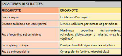 La cellule végétale Sans-titre-352