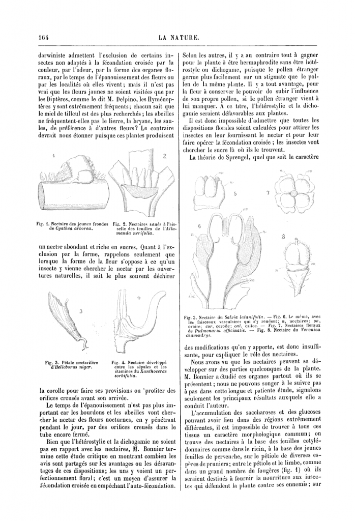 HISTOLOGIE VEGETALE Sans-titre-416