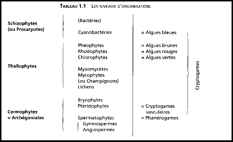 Classification.générale (cours) Sans-titre-417