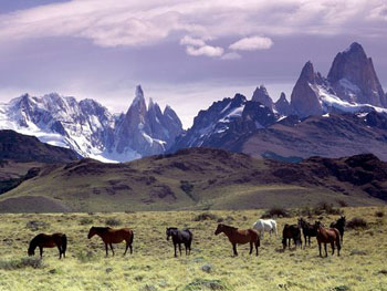 Maracaibo y New York entre las ciudades que podrían desaparecer por el deshielo glacial 1345541056