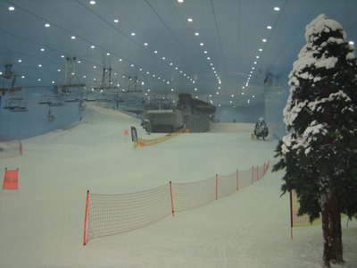   ....      .... Ski-dubai-758231