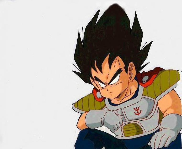 Biografa de Vegeta Chibi_veggie