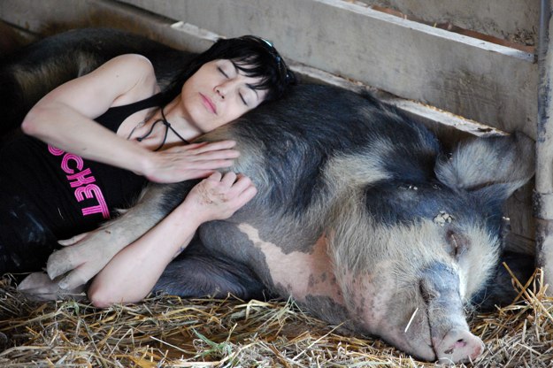 Ser vegetariano mola mas - Página 2 Joan_Jett_header