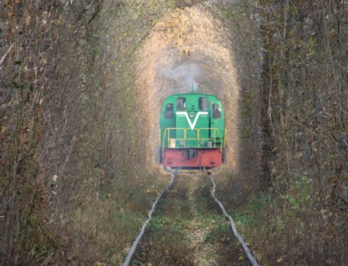 10 maravillas naturales creadas por accidente Tunel-del-amor