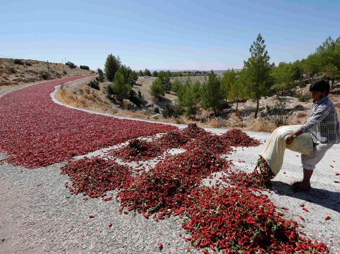 طريق الفلفل الأحمر بتركيا  Db4da673-cd39-457e-90c9-438a4bd884e8_4x3_690x515