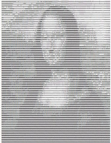 Images using text Dibujo-ascii