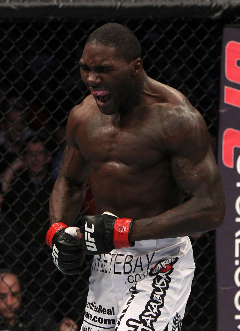 UFC PHOTOS 3\10 08_johnson_vs_brenneman_003