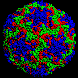 TỔNG QUAN VIRUS-Phạm Văn Ty - Nguyễn Lân Dũng Rhinovirus-icosaedre01