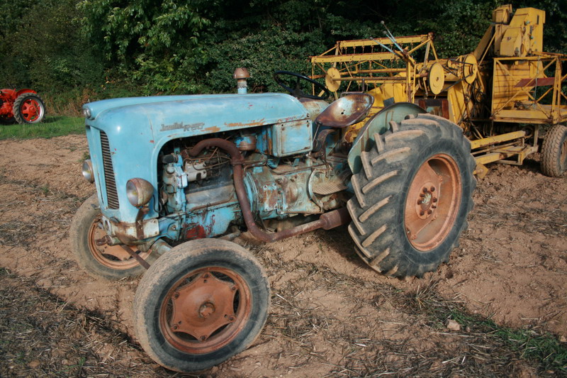 Fête des vieux tracteurs de la tuilerie du 13 au 15 aout Photo289