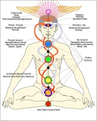 viaje astral - Glándula Pineal - DMT (Dimetiltriptamina) Chakras