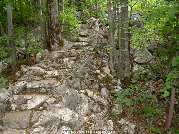 Medvednica - Zagrebačka gora 500_Horvatovih_Stuba