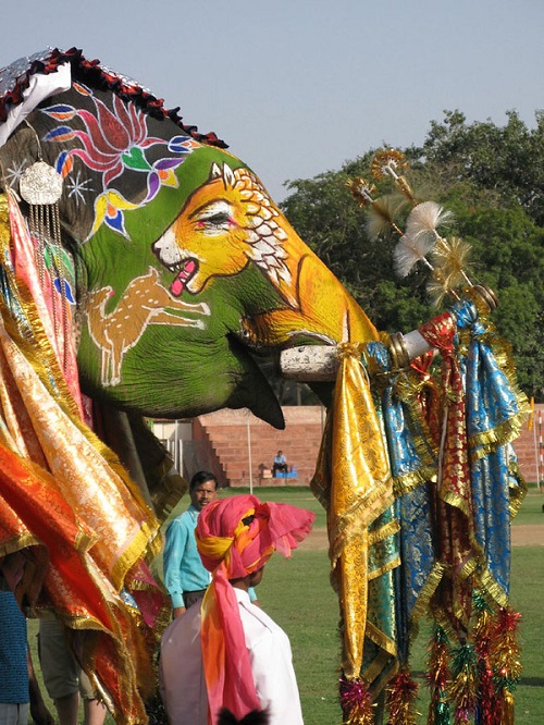 13 AĞUSTOS 2017 PAZAR BULMACASI SAYI : 1637 - Sayfa 2 Elephant-festival-in-the-Indian-city-of-Jaipur-in-India-3