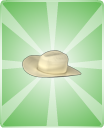 Western Frontier Quest -- Spoiler! Cowboyhat