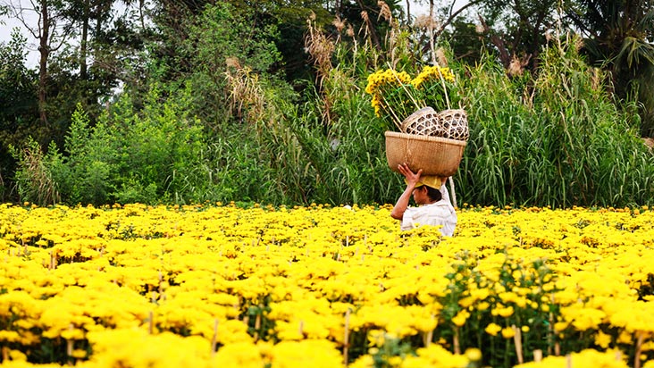 Đẹp tuyệt vời làng hoa Sa Đéc nổi tiếng miền Tây Nam Bộ Sa_Dec_Flower_Gardens_in_Mekong_delta_Vietnam_01