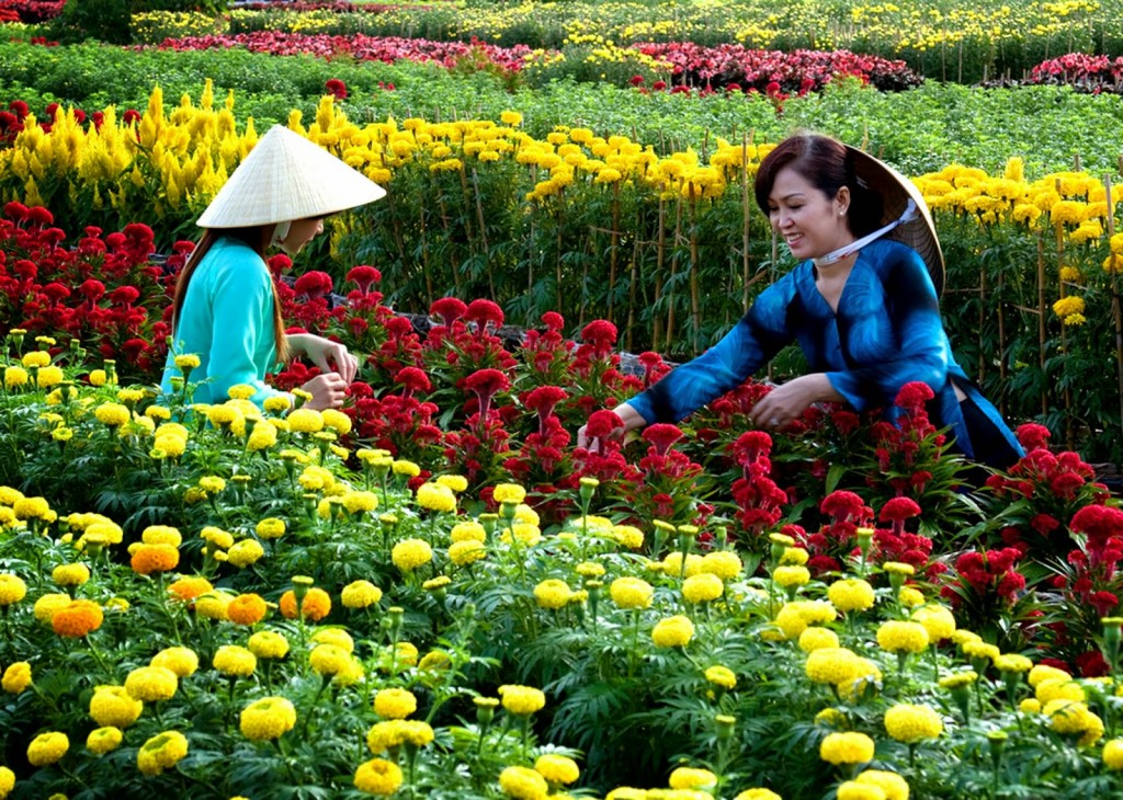 Đẹp tuyệt vời làng hoa Sa Đéc nổi tiếng miền Tây Nam Bộ Sa_Dec_Flower_Gardens_in_Mekong_delta_Vietnam_03