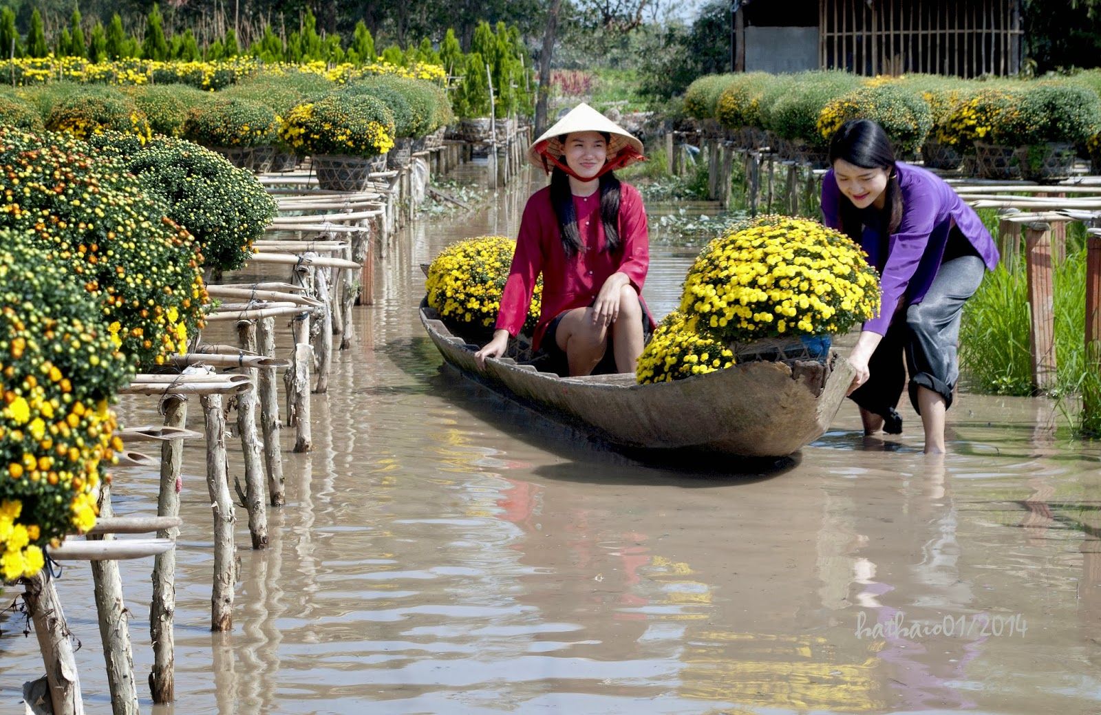 Đẹp tuyệt vời làng hoa Sa Đéc nổi tiếng miền Tây Nam Bộ Sa_Dec_Flower_Gardens_in_Mekong_delta_Vietnam_05