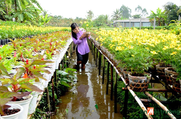 Đẹp tuyệt vời làng hoa Sa Đéc nổi tiếng miền Tây Nam Bộ Sa_Dec_Flower_Gardens_in_Mekong_delta_Vietnam_06