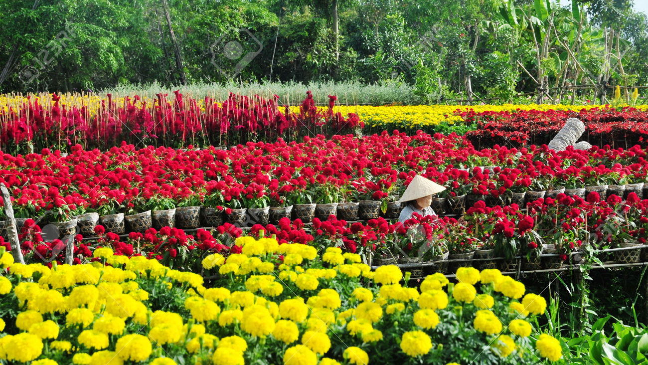 Đẹp tuyệt vời làng hoa Sa Đéc nổi tiếng miền Tây Nam Bộ Sa_Dec_Flower_Gardens_in_Mekong_delta_Vietnam_08